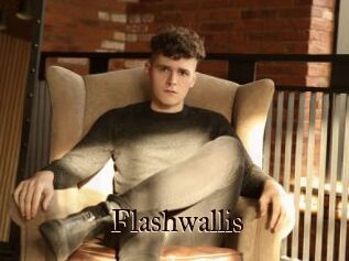 Flashwallis