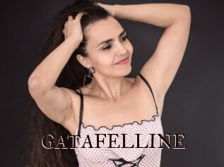 GATAFELLINE