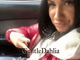 GentleDahlia