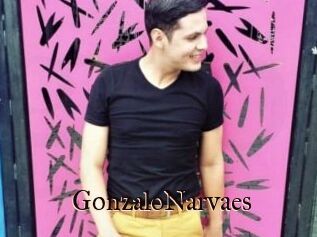 GonzaloNarvaes