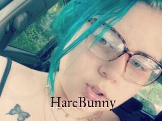 HareBunny