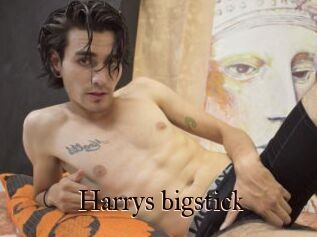 Harrys_bigstick