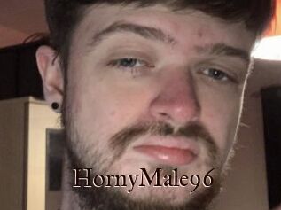 HornyMale96