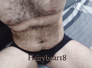 Hairybear18