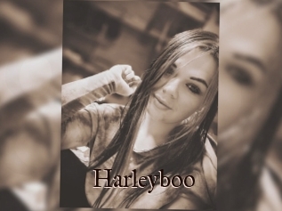 Harleyboo