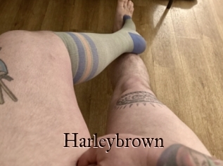 Harleybrown