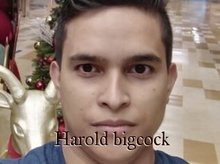 Harold_bigcock