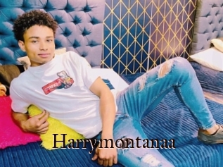 Harrymontanaa