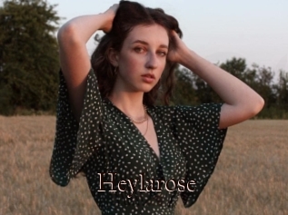 Heylarose