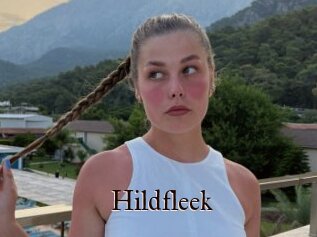 Hildfleek