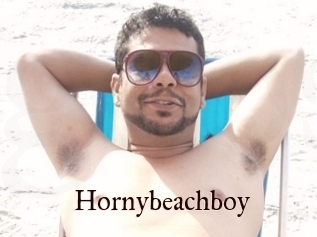 Hornybeachboy