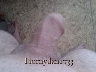 Hornydan1733