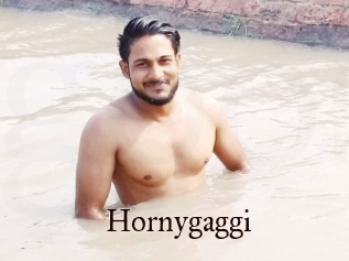 Hornygaggi