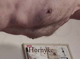 Hornyke