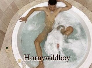 Hornywildboy