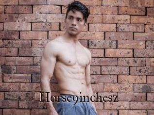 Horse9inchesz