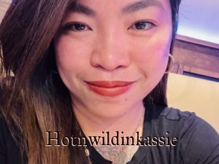 Hotnwildinkassie