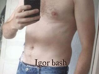 Igor_bash