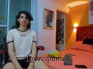 Igorespinoza