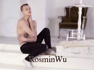 KosminWu