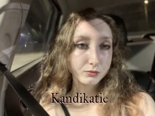 Kandikatie