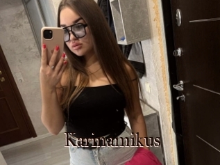 Karinamikus