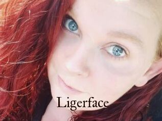 Ligerface