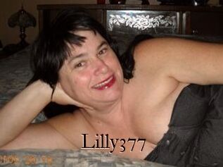 Lilly377