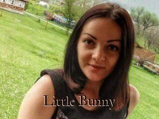 Little_Bunny_