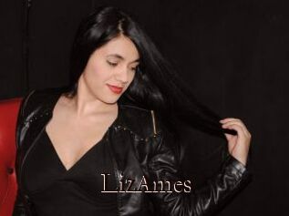 LizAmes