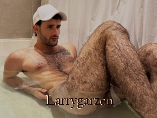 Larrygarzon