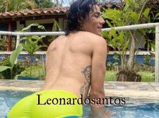 Leonardosantos