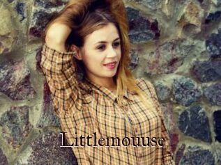 Littlemouuse