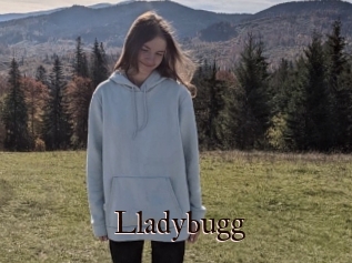 Lladybugg