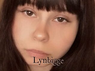 Lynbigge