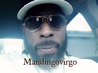 Mandingovirgo