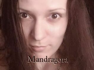 Mandragora