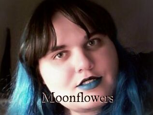 Moonflowers