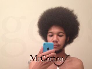 MrCotton