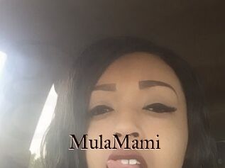 MulaMami