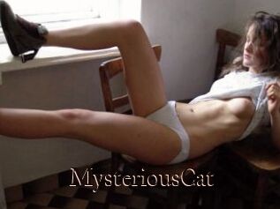 MysteriousCat