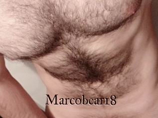 Marcobear18