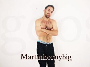 Martinhornybig