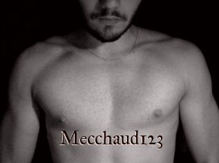 Mecchaud123