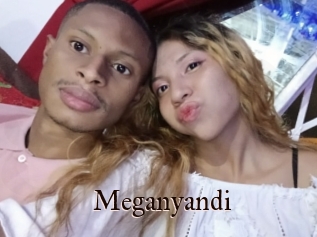 Meganyandi