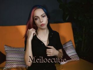 Meiloecutie