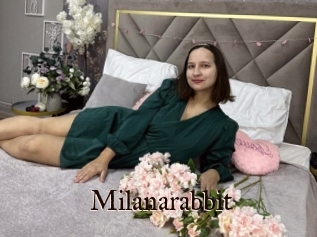 Milanarabbit