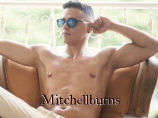 Mitchellburns