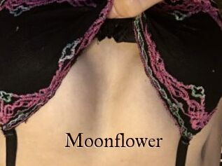 Moonflower