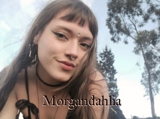 Morgandahlia